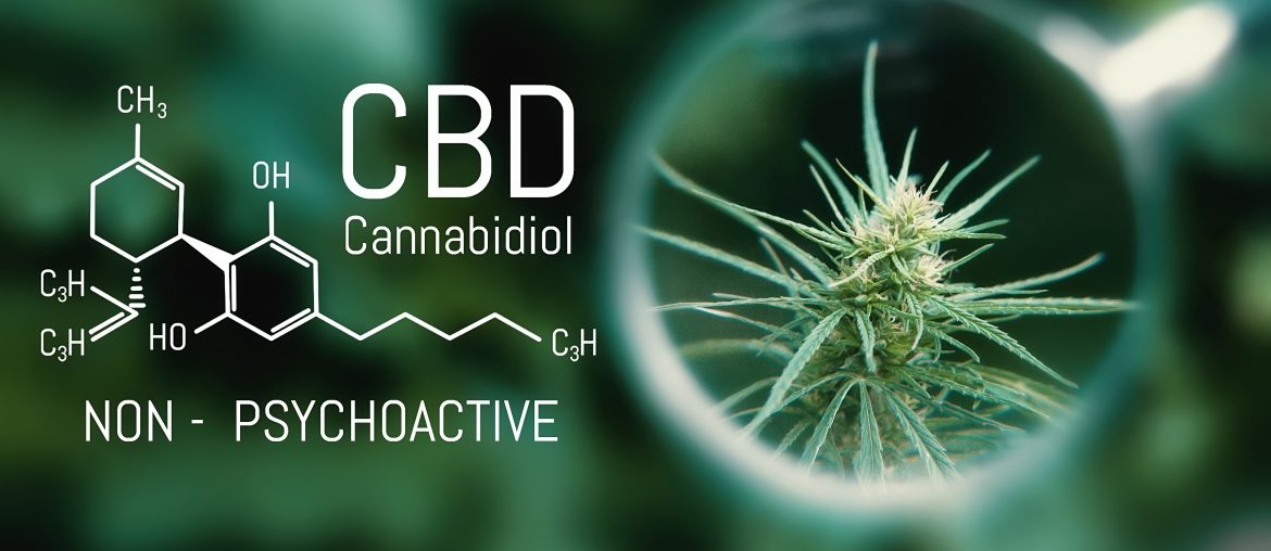 CBD Cannabidiol