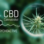 CBD Cannabidiol