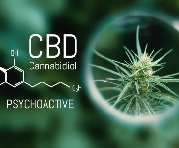 CBD Cannabidiol