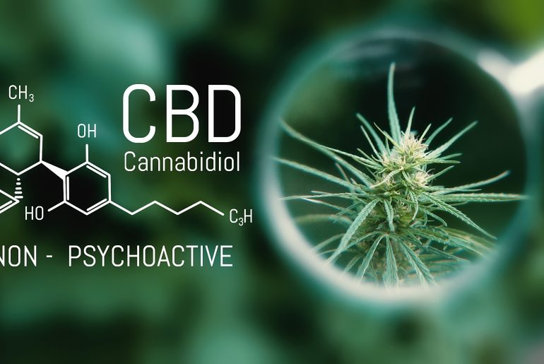 CBD Cannabidiol